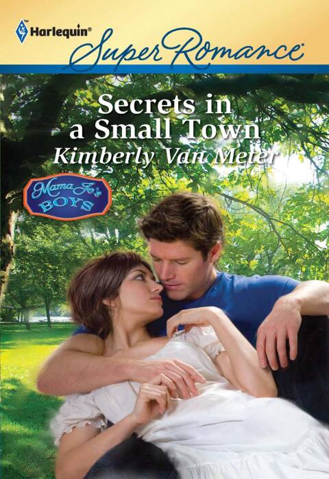 Cover image for book Secrets in a Small Town