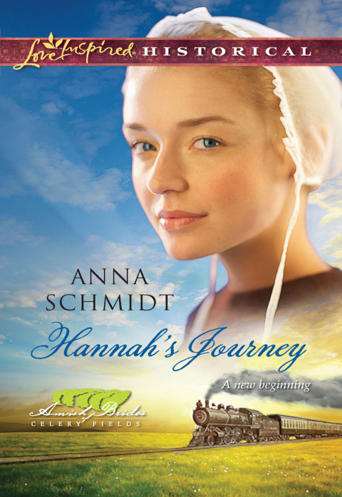 Cover image for book Hannah's Journey