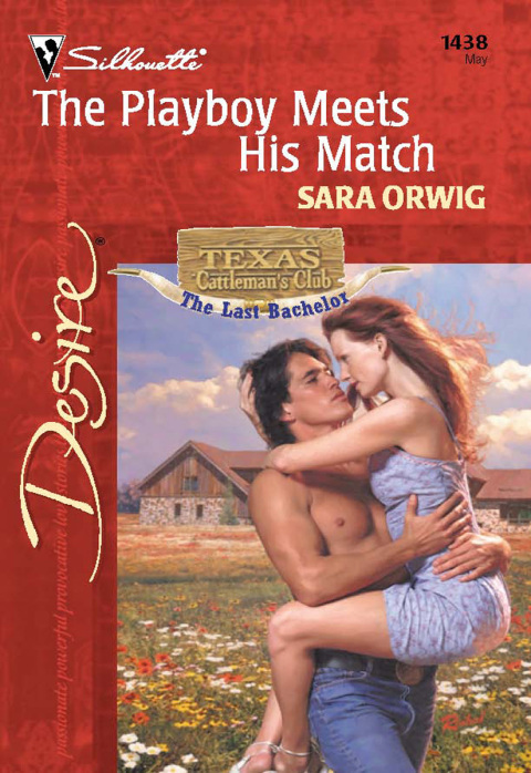 Cover image for book The Playboy Meets His Match