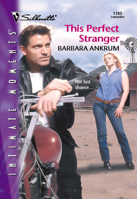 Cover image for book This Perfect Stranger