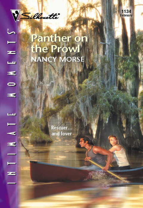 Cover image for book Panther on the Prowl