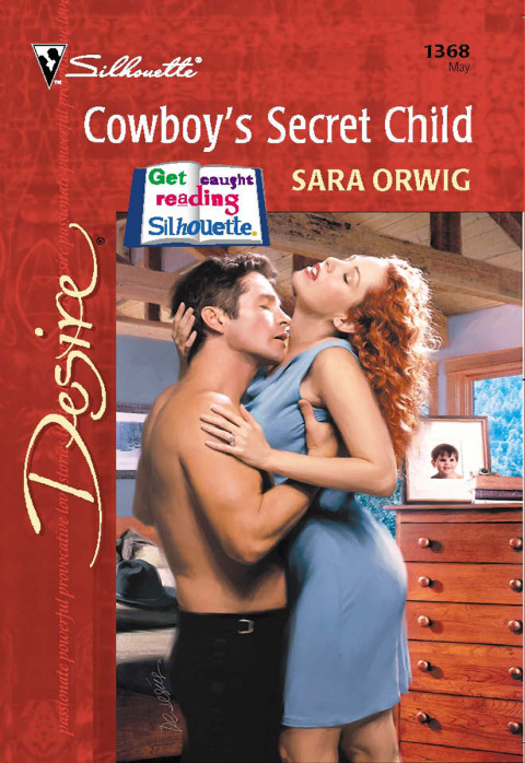 Cover image for book Cowboy's Secret Child