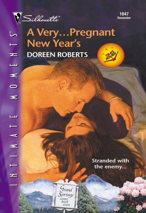 Cover image for book A Very...Pregnant New Year's