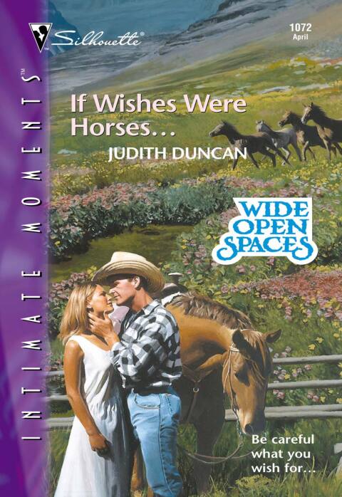 Cover image for book If Wishes Were Horses...