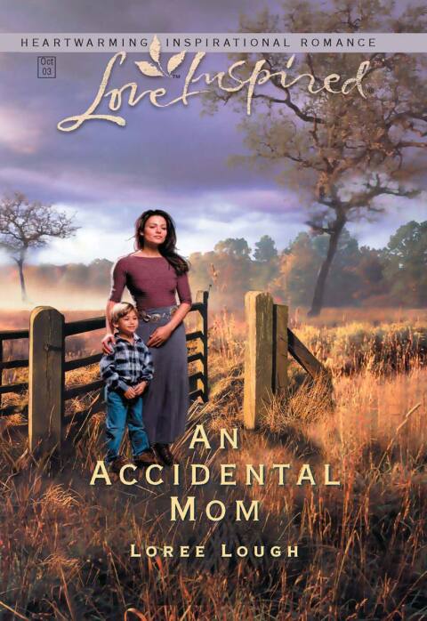 Cover image for book An Accidental Mom