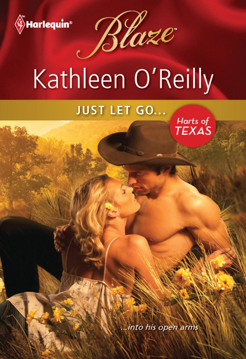 Cover image for book Just Let Go...