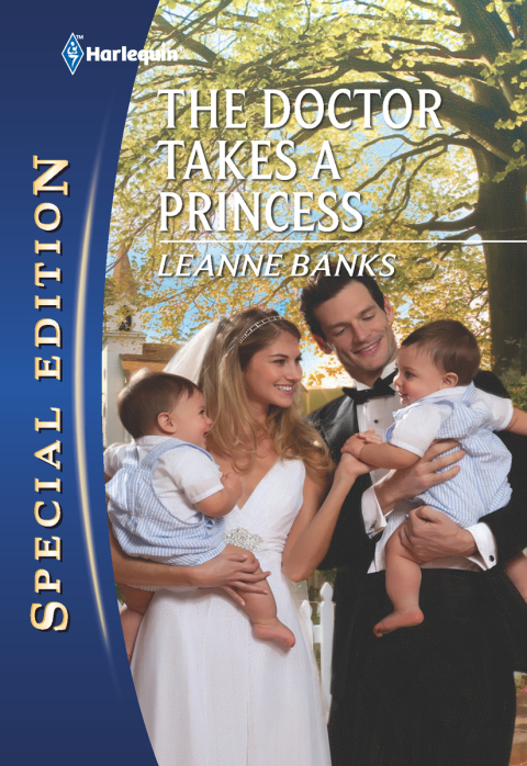 Cover image for book The Doctor Takes a Princess