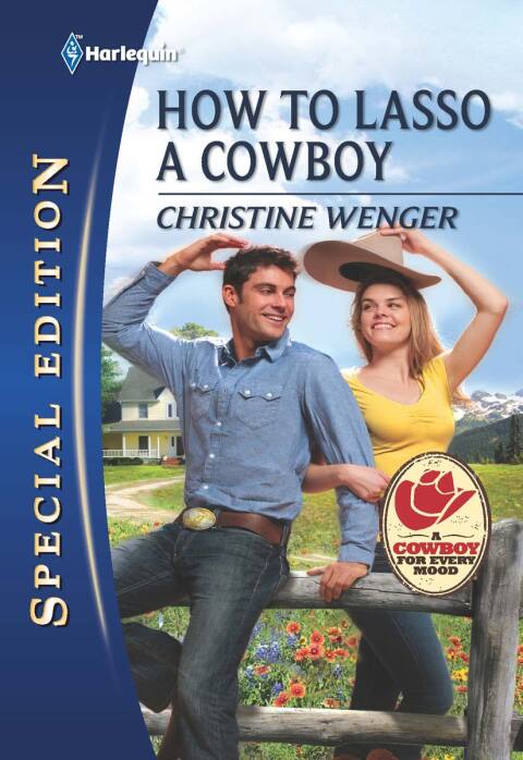 Cover image for book How to Lasso a Cowboy