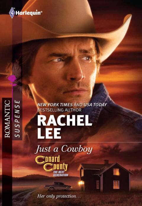 Cover image for book Just a Cowboy