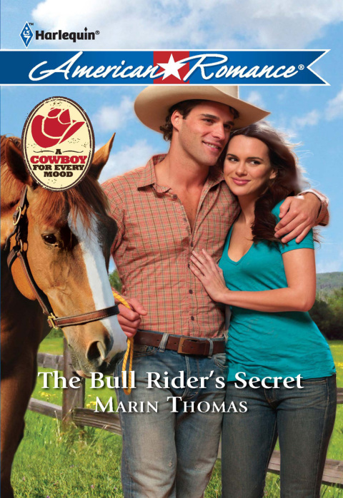 Cover image for book The Bull Rider's Secret