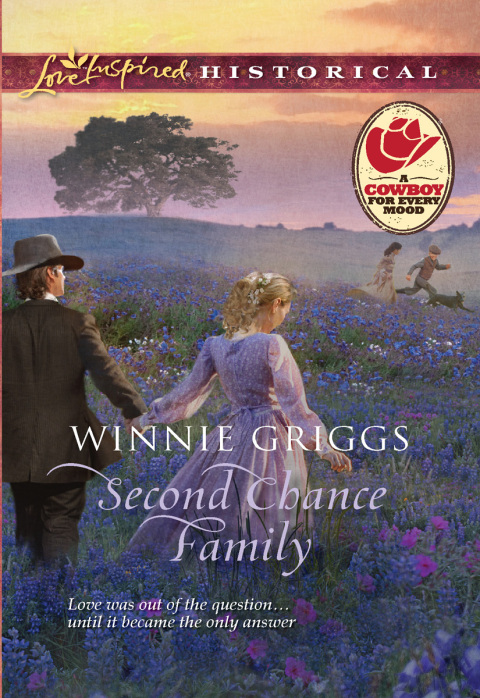 Cover image for book Second Chance Family