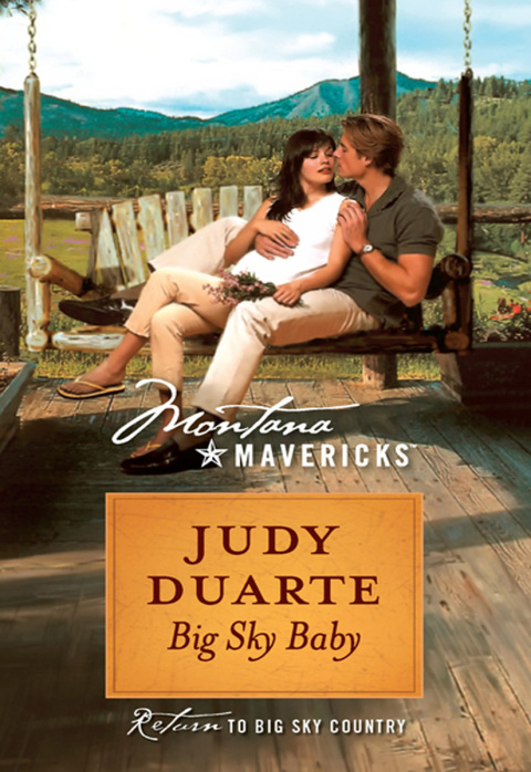 Cover image for book Big Sky Baby