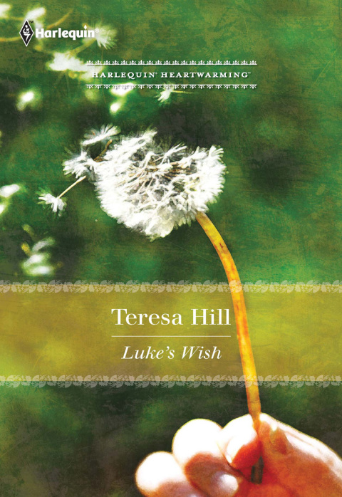 Cover image for book Luke's Wish
