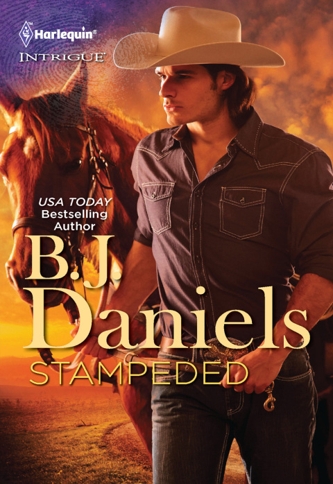 Cover image for book Stampeded