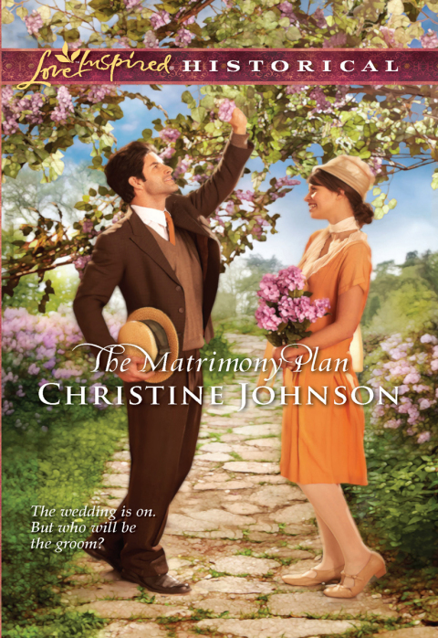 Cover image for book The Matrimony Plan