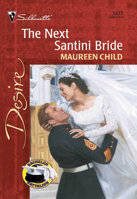 Cover image for book The Next Santini Bride