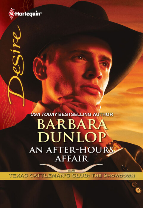 Cover image for book An After-Hours Affair