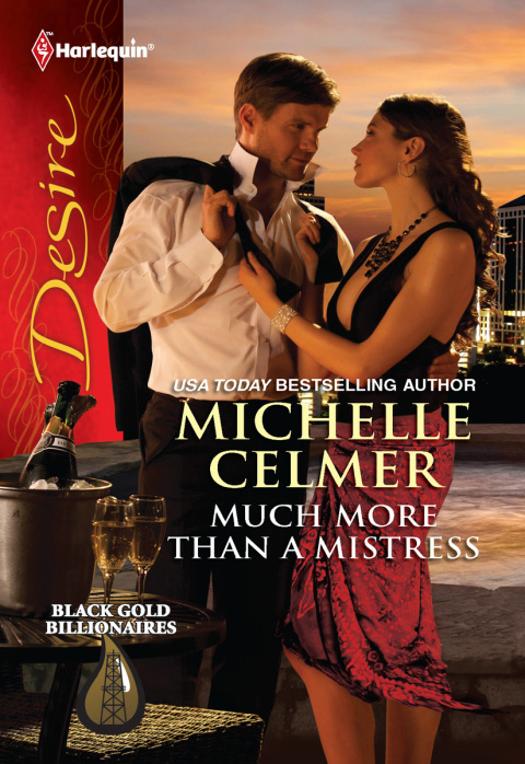Cover image for book Much More Than a Mistress