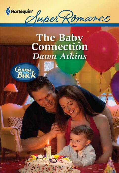 Cover image for book The Baby Connection