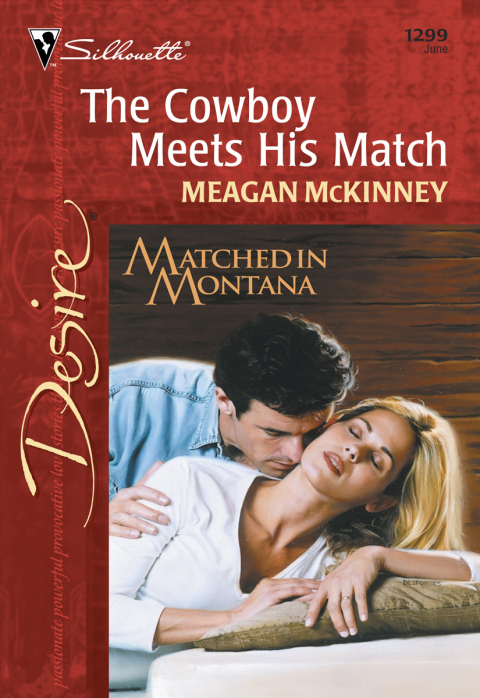 Cover image for book The Cowboy Meets His Match