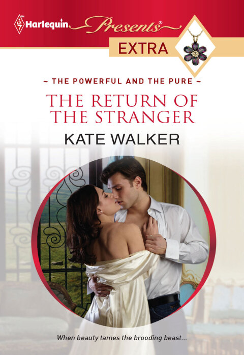 Cover image for book The Return of the Stranger