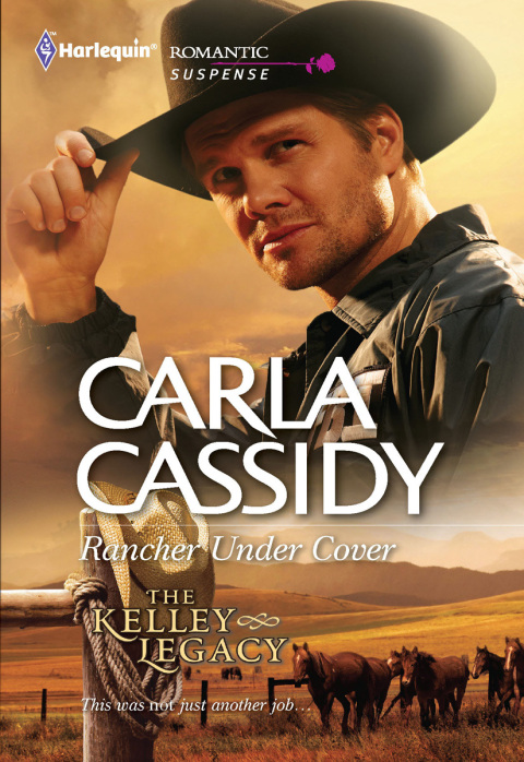 Cover image for book Rancher Under Cover
