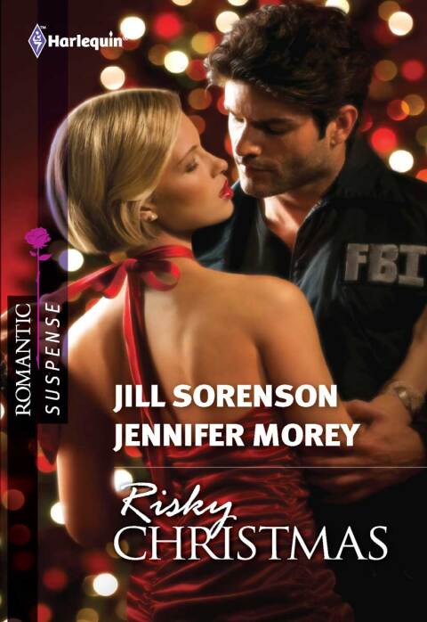 Cover image for book Risky Christmas