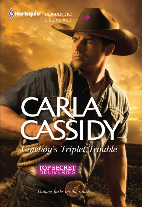 Cover image for book Cowboy's Triplet Trouble