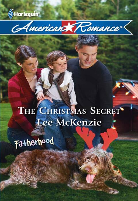 Cover image for book The Christmas Secret