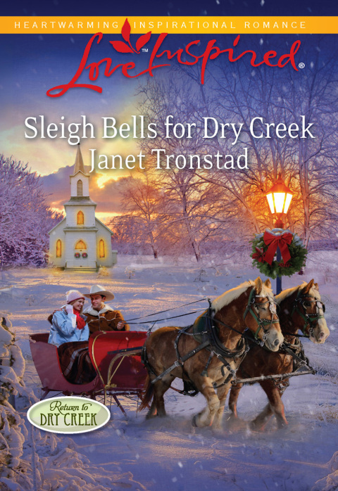 Cover image for book Sleigh Bells for Dry Creek