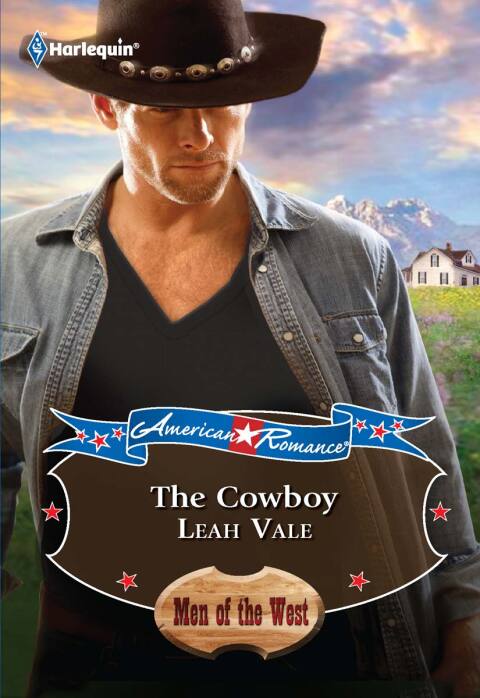 Cover image for book The Cowboy