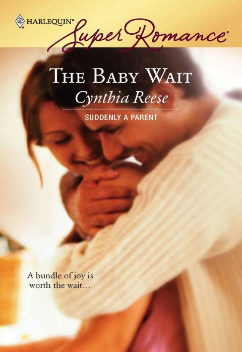 Cover image for book The Baby Wait