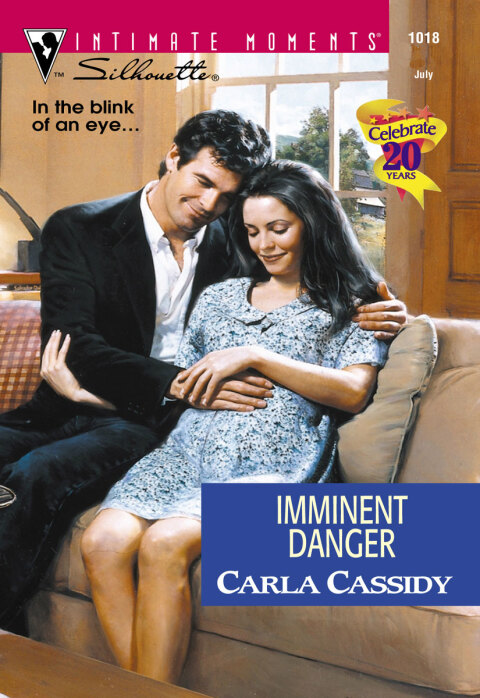 Cover image for book IMMINENT DANGER