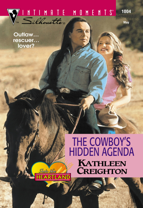 Cover image for book THE COWBOY'S HIDDEN AGENDA