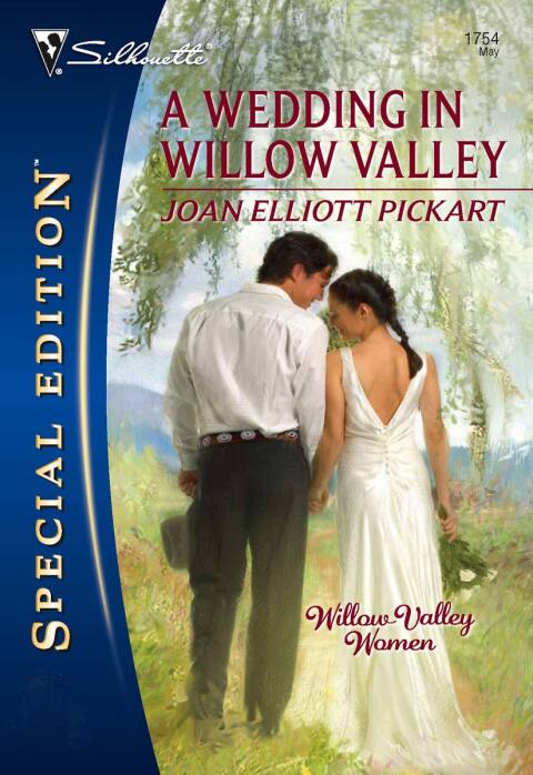 Cover image for book A Wedding in Willow Valley