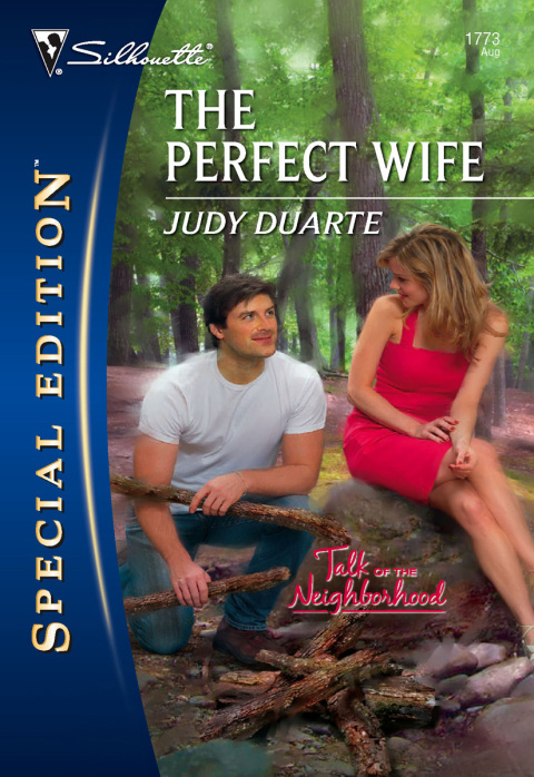 Cover image for book The Perfect Wife