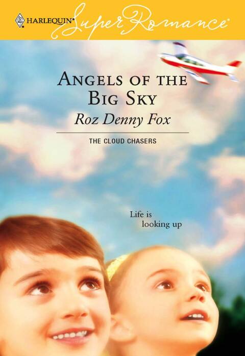 Cover image for book Angels of the Big Sky