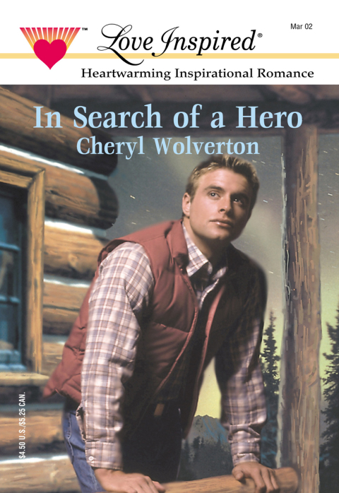Cover image for book IN SEARCH OF A HERO