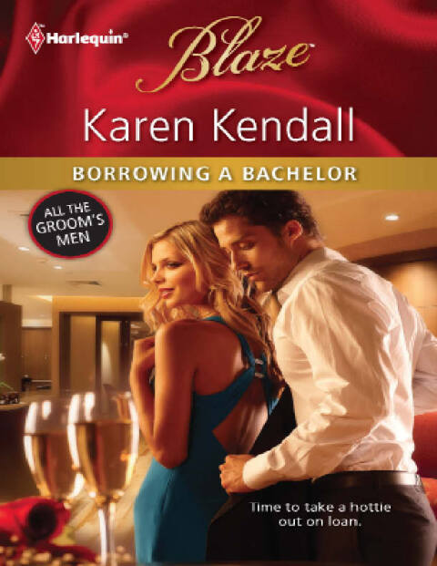 Cover image for book Borrowing a Bachelor