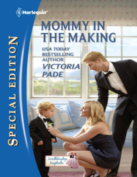 Cover image for book Mommy in the Making