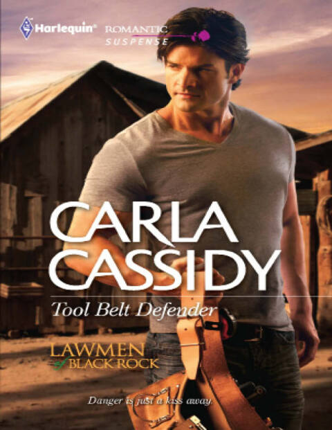 Cover image for book Tool Belt Defender