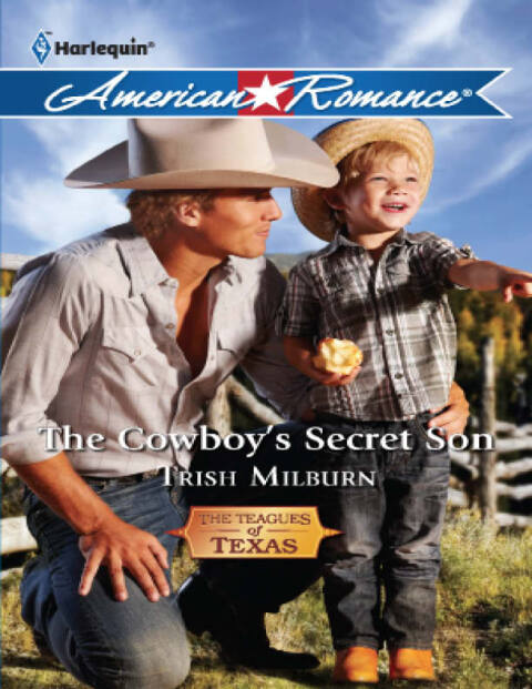 Cover image for book The Cowboy's Secret Son