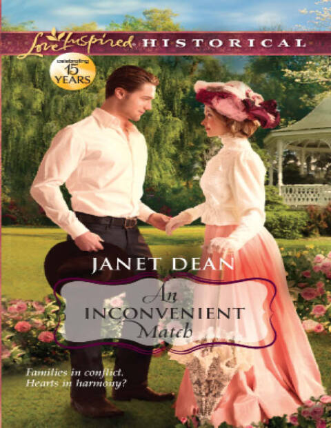 Cover image for book An Inconvenient Match