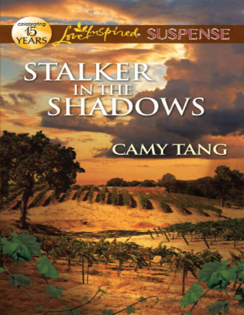 Cover image for book Stalker in the Shadows