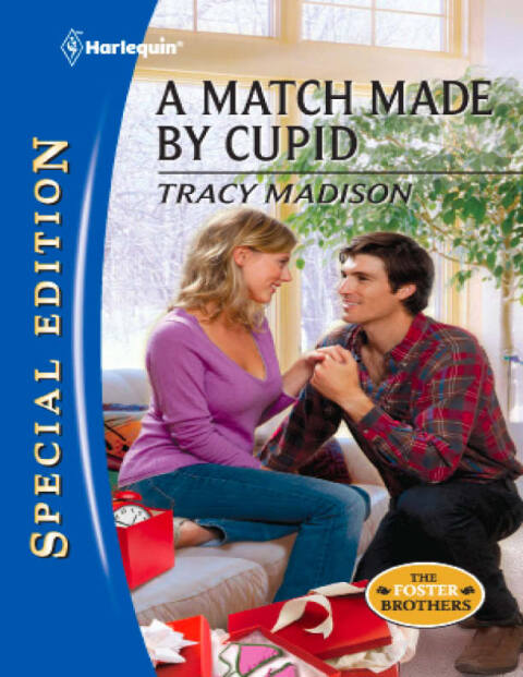 Cover image for book A Match Made by Cupid