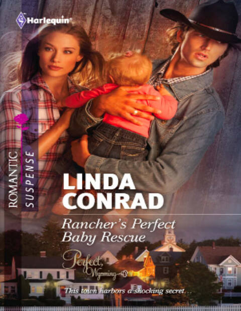 Cover image for book Rancher's Perfect Baby Rescue