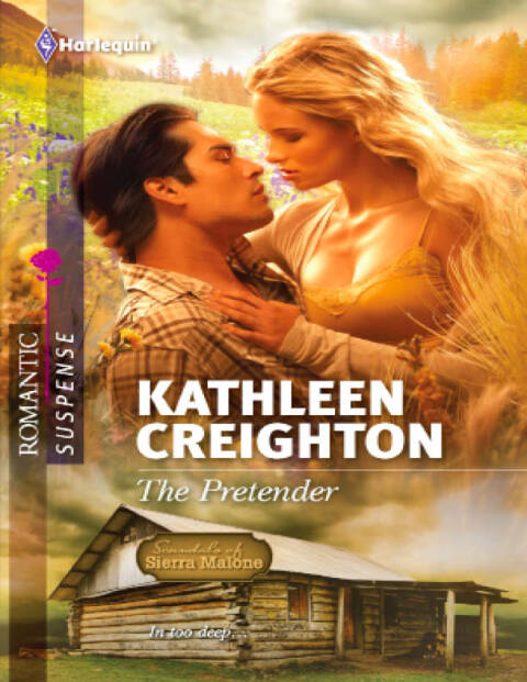 Cover image for book The Pretender