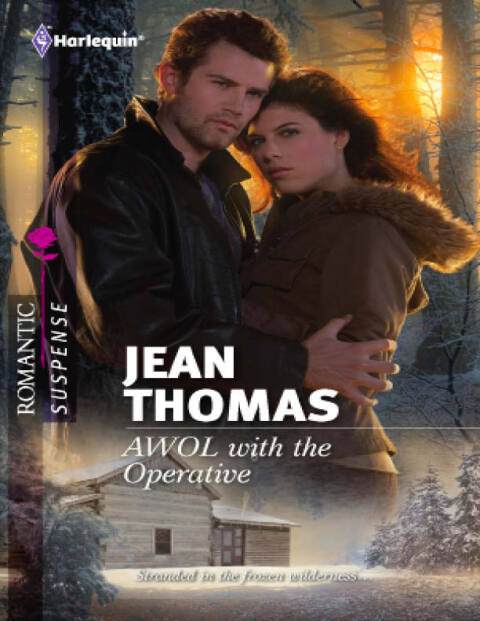 Cover image for book AWOL with the Operative