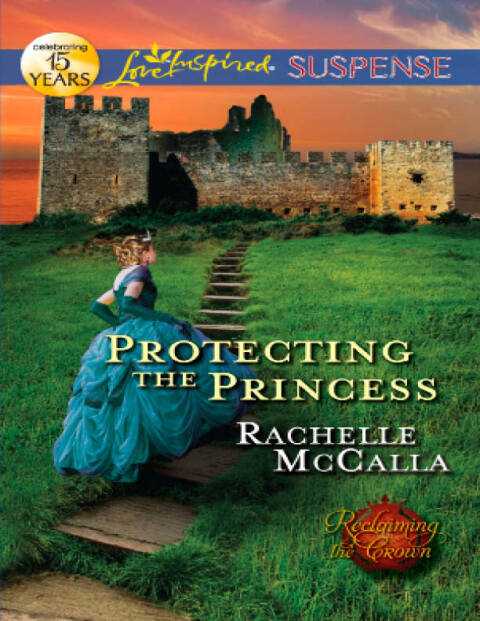 Cover image for book Protecting the Princess