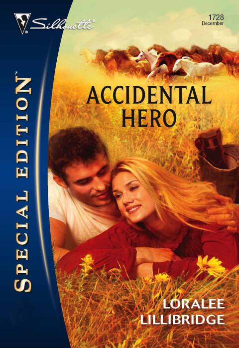 Cover image for book Accidental Hero